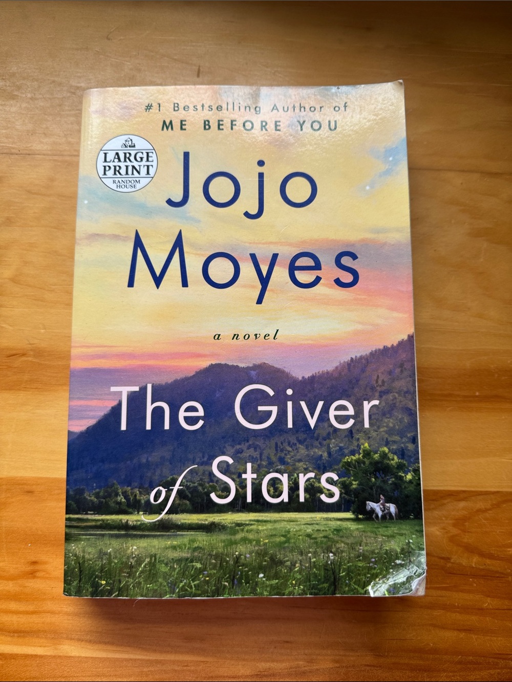 🦋2/$10 The Giver of Stars LARGE PRINT EDITION